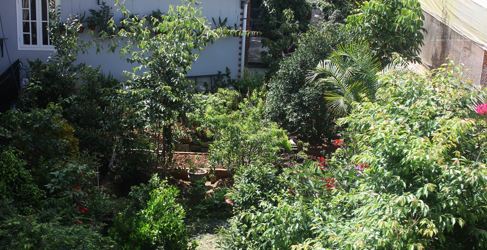 Tree House Hostel Da Lat Buitenkant foto